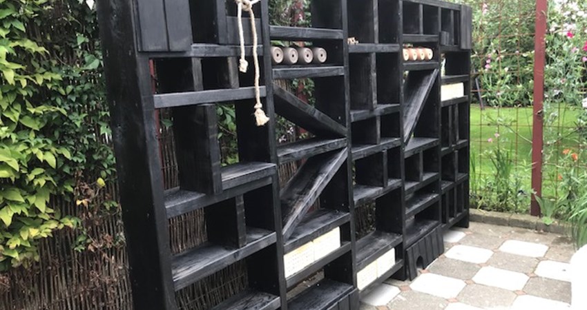 IMG_7042 23.08.23.jpg