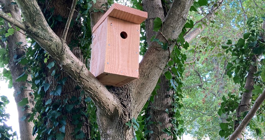 Fuglekasse ophængt på Møllebakken.jpg