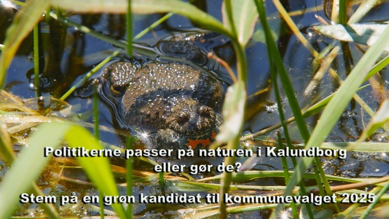 Kommunal- og Regionsvalg