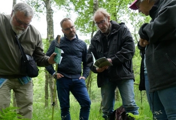 Naturtilstanden i Åmosen