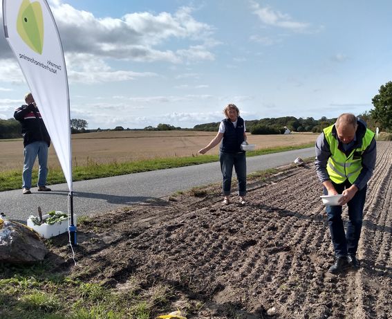 Borgmesteren spreder frø