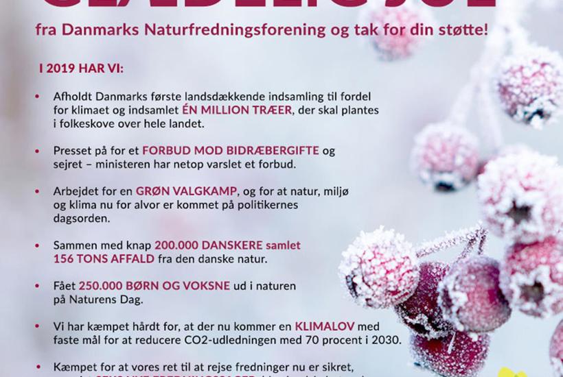 Julehilsen 2019