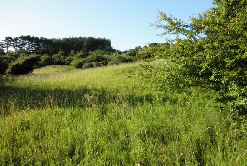 Klintegården