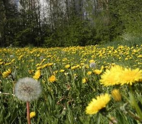 Kalundborg Kommunes udviklingsstrategi til 2030