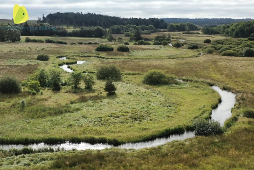 Giv landskabet tilbage til åen
