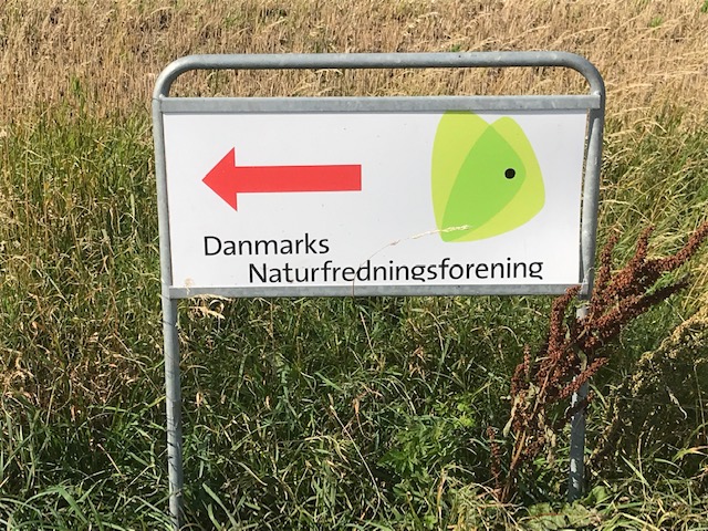 DN - noget for dig?