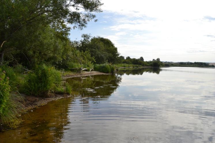 Åbent brev om vandindving Tissø