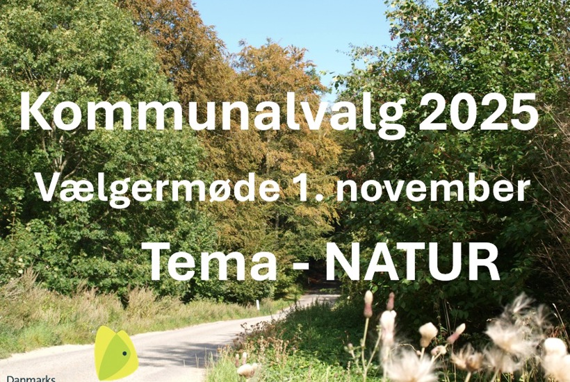 Naturpolitisk kagebord